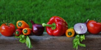 Żywność ekologiczna