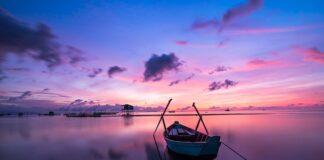 Jaki jest kolor radosnych świąt?