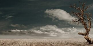 Jak zrobić suchą rzekę?