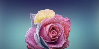 Jak zrobić dekoracyjne kule na tort?