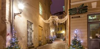 Co oznacza choinka na święta?