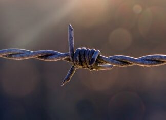 Ile kosztuje okablowanie domu?