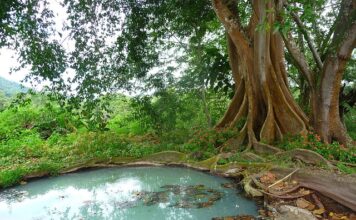 Kiedy zamawiać szambo? Kiedy zamawiać szambo?