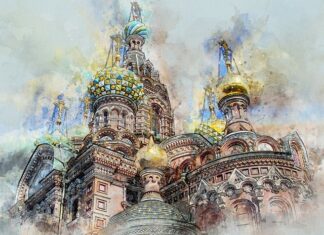 Jak wygląda przelany trawnik?