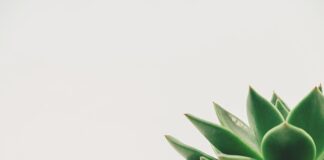 Jak zrobić dekoracje na wielkanocny stół?