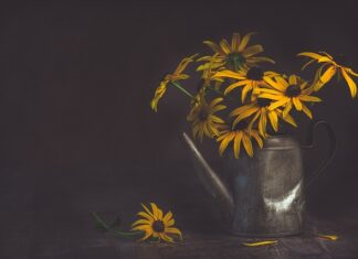 Ile barów do podlewania?