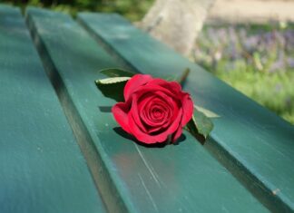 Jak zrobić ławkę do ogródka?