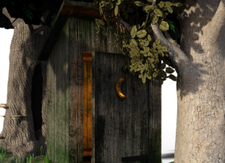 Dlaczego zapycha się kibel?