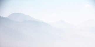 Czy Bambusowe deski do krojenia są zdrowe?