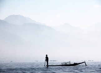 Czy Bambusowe deski do krojenia są zdrowe?