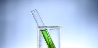 Jak pozbyć się glonów w oczku wodnym?