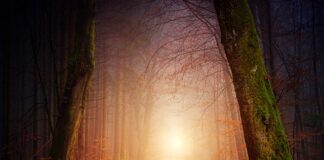 Kiedy oświetlenie świąteczne?