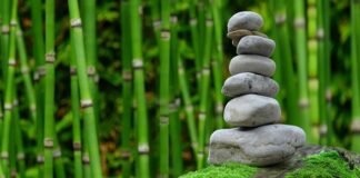 Czy bambus można myć w zmywarce?