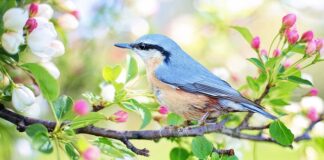 Jak urządzić mały salon?