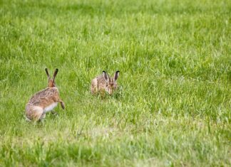 Jak naładować lampę solarną bez słońca?