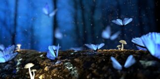 Jakie drewno daje najwięcej ciepła?