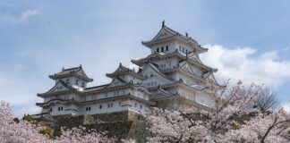 Jakie zadaszenie nad drzwiami?