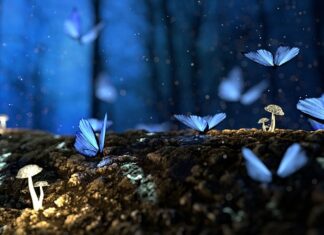 Czym przykleić drewno do elewacji?