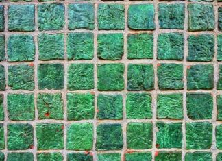 Co zamiast płytek na podłogę w kuchni?