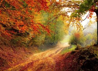 Jak zrobić spadek na płaskim dachu?