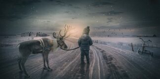 Jak zrobić renifera z gałązek świerku?