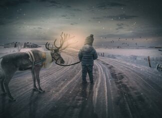 Jak zrobić renifera z gałązek świerku?