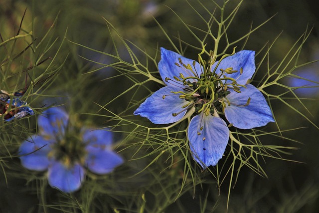 Jak pozbyć się zielonej wody w oczku wodnym? Jak pozbyć się zielonej wody w oczku wodnym?