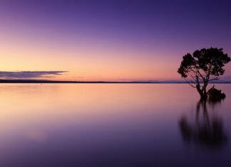 Czy wodę z szambo można wylewać na pole?