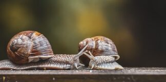 Jaki czujnik ruchu do łazienki? Jaki czujnik ruchu do łazienki?