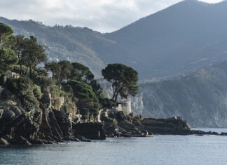 Ile kosztuje wymiana noża w kosiarce?