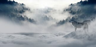 Z czym kojarzy nam się zima?