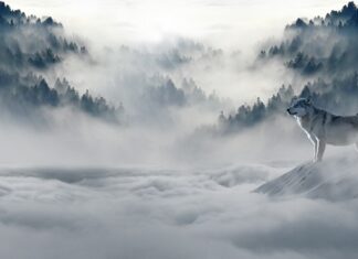 Z czym kojarzy nam się zima?