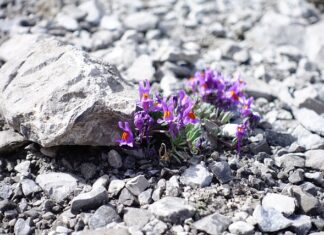 Co zrobić żeby nie śmierdziało z odpływu?