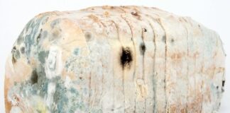 Jak zdezynfekować deskę do krojenia?