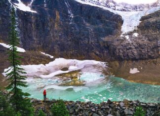 Czy można zostawić ocieplenie bez tynku?