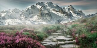 Jak ułożyć kamienie w oczku wodnym?