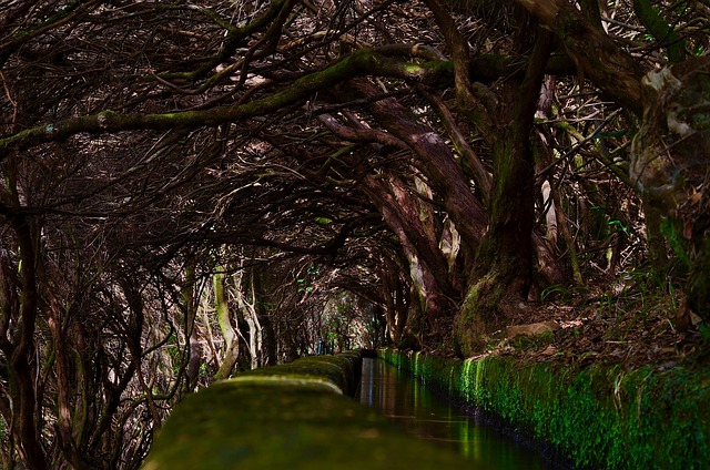 Jak zrobić ciek wodny? Jak zrobić ciek wodny?