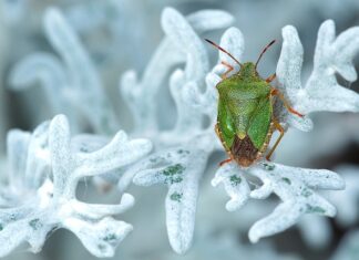 Jak pozbyć się smrodu z kabiny prysznicowej?