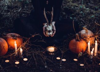 Czym połączyć dwie dynię?