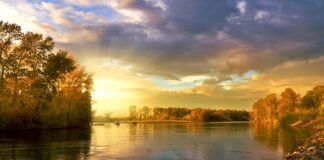 Jakie są trzy tradycyjne kolory Bożego Narodzenia?