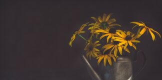 Czy wodą z oczyszczalni nadaje się do podlewania? Czy wodą z oczyszczalni nadaje się do podlewania?