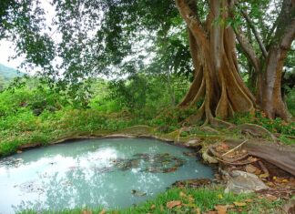 Ile razy w roku trzeba wywozić szambo?