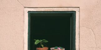 Co ile dni podlewać trawnik? Co ile dni podlewać trawnik?