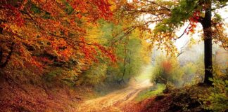 Ile spadku na daszku?