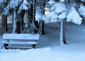 Jak zrobić mini ławeczkę?