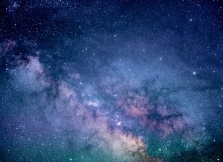 Kto może wykonywać badania elektronarzędzi?