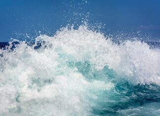 Co lepsze Lazura czy olej?