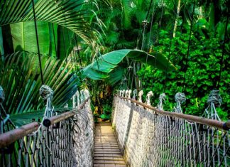 Co lepsze taśma czy linia kroplująca?