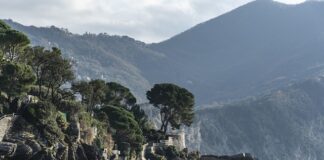 Ile kosztuje metr ułożenia desek?