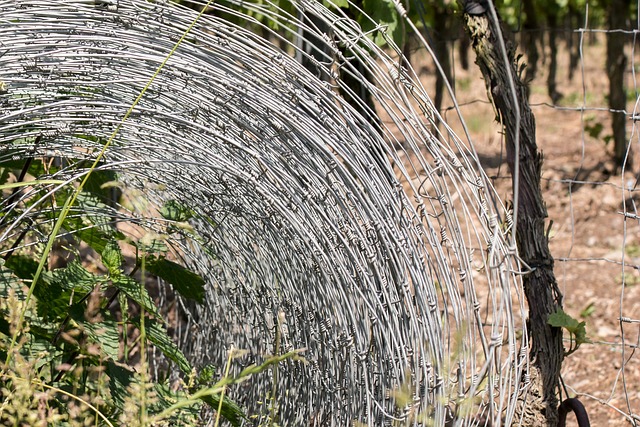 Jak odgrodzić się od sąsiada na tarasie? Jak odgrodzić się od sąsiada na tarasie?